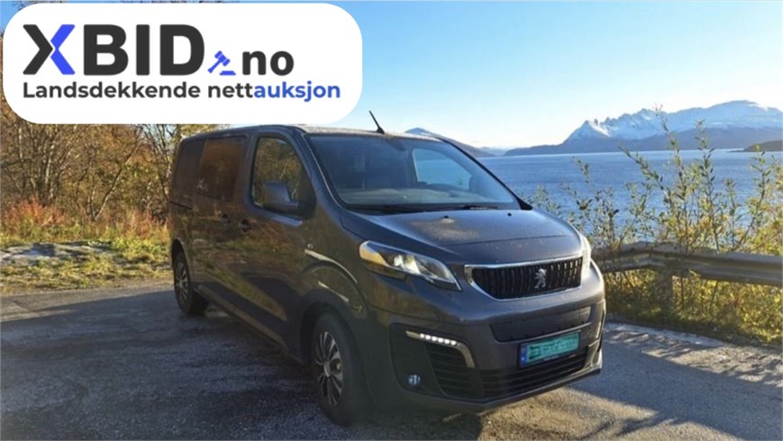 PEUGEOT DANGEL EXPERT 4x4 2019 2.0 150hk